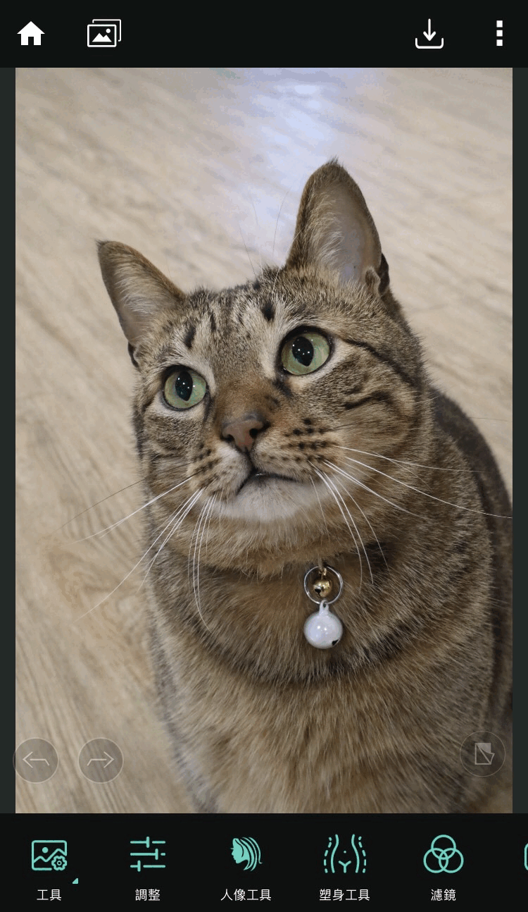 相片大師照片去背範例